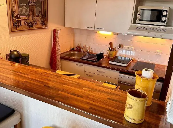 Apartment Petit Nid Cosy Au Coeur Du Puy 1 A 5 Personnes Le Puy-en-Velay